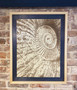 Ammonite Engraving by Jason and Esme Cameron