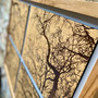 Winter Oak No.5 engraved onto Oak, by Esme & Jason, Grange Gallery