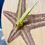 Starfish, engraved Oak wooden clock by Esme and Jason, Grange Gallery, Dorset