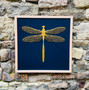 Gold Dragonfly, woodcut hand painted in gold leaf by Jason and Esme, Grange Gallery, Dorset