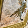 Barn Owl , original painting by Cliff Towler, Grange Gallery, Dorset