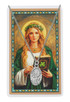 (PSD500DY) ST DYMPHNA PRAYER CARD SET