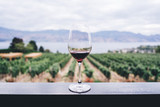 Three wine glasses with white wine in a celebratory toast