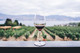 Three wine glasses with white wine in a celebratory toast