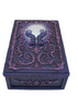 fortune teller box
