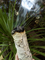 Sage Bundle Large