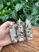 Flower Rhyolite Points – Growth, Healing & Connection to Nature