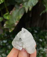 apophyllite cluster