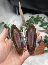 Agate butterfly