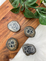 Natural small Septarian Thunder Egg half