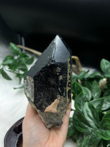 Rare Black Himalayan Quartz with Orthoclase and Epidote on wooden stand. A powerful grounding, protective and transformational collector’s crystal.