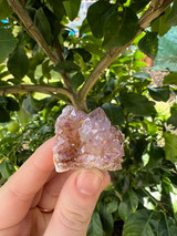 Spirit Quartz clusters, a sparkling crystal for harmony, spiritual growth and uplifted energy. Beautiful for meditation, display and sacred spaces.