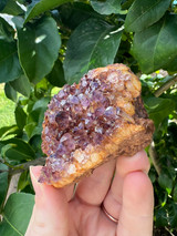 Iron-Rich South African Amethyst  – Grounding Protection & Spiritual Calm