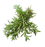 Organic Fresh Rosemary Bunch