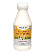Cocomilk Kefir Drink - Amphore Living Foods