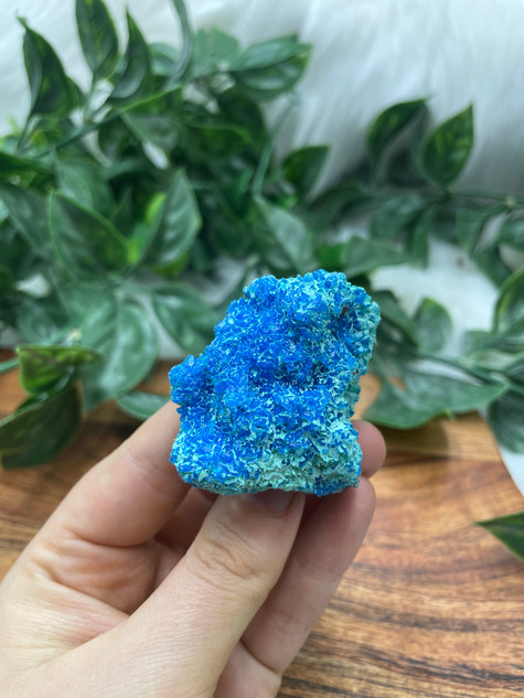 Chalcanthite Cluster on Matrix – Rare Collector Mineral | Electric Blue Copper Crystal