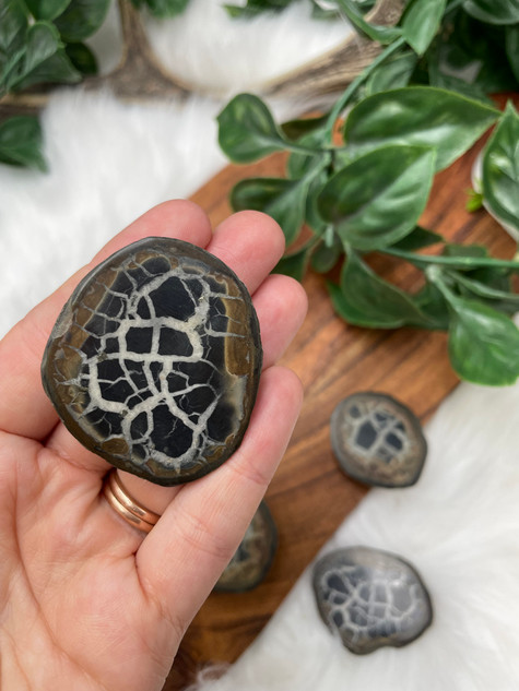 Natural small Septarian Thunder Egg half