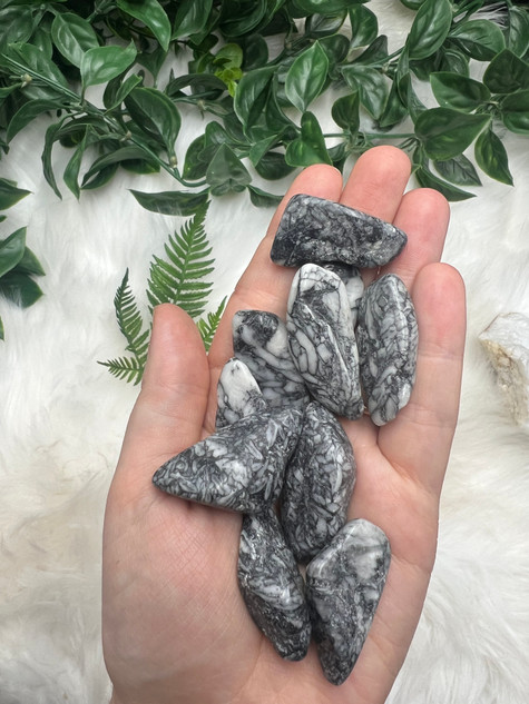 Flat Pinolith Tumbled Stone with striking black, grey and white patterns. A calming crystal for grounding, emotional balance, inner strength and steady support through change.