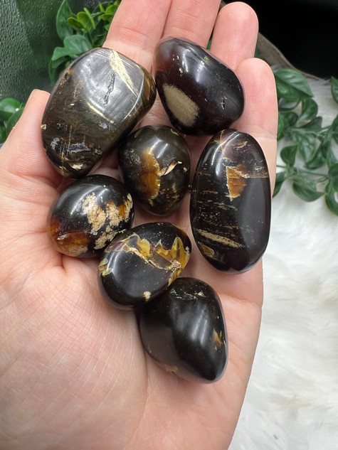 Sumatran Amber Tumbled Stone with deep golden brown tones. Fossilised tree resin for grounding, protection, stability, positive energy and creative self-expression.