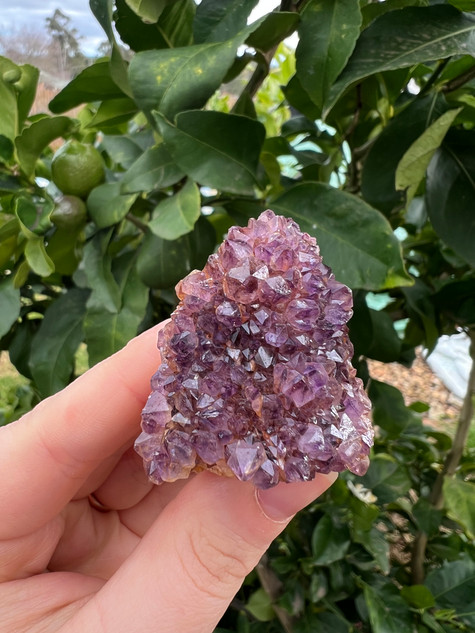 Iron-Rich South African Amethyst  – Grounding Protection & Spiritual Calm