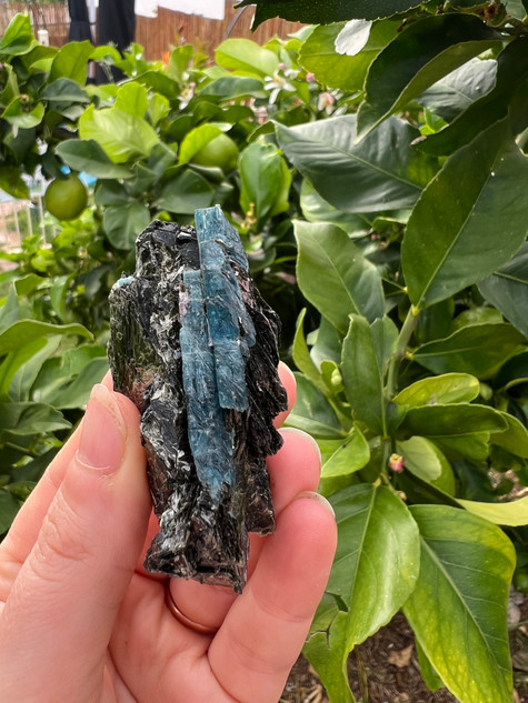 Australian Blue Kyanite ~ on black MIca