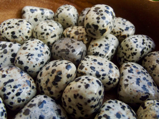 Dalmatian Jasper Tumbled stone