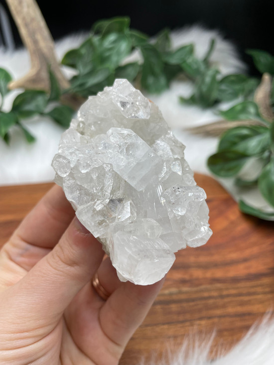 Apophyllite Cluster