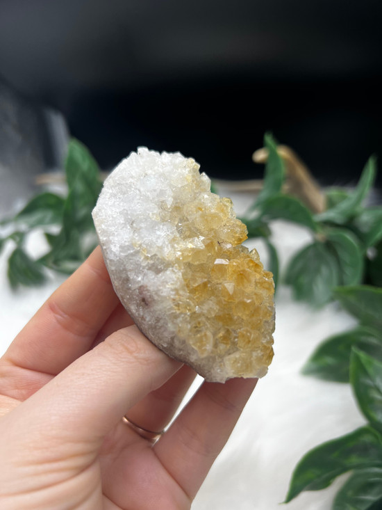 Sparkling Citrine with Quartz cluster featuring golden citrine points and white quartz druzy. A beautiful crystal for abundance, confidence, clarity and uplifting energy.