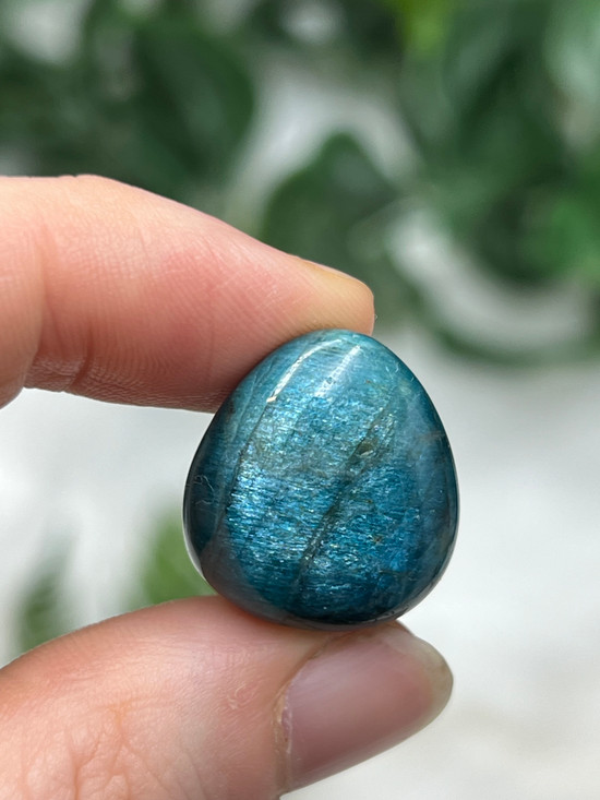 A-Grade Blue Apatite Hand Cut Tumbled Stone with vibrant blue tones. A crystal for clarity, motivation, focus, communication, intuition and inspired action.