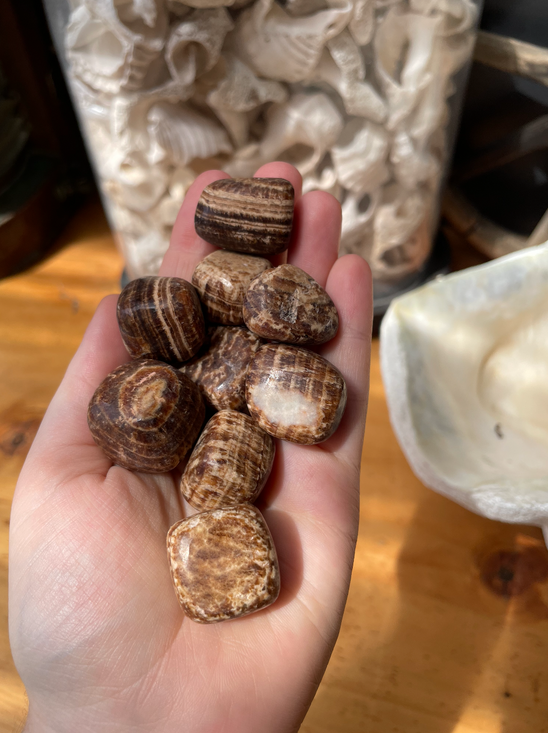 Aragonite Tumbled Stone with warm earthy banding. A grounding crystal for patience, emotional balance, stress support, focus, stability and Earth connection.