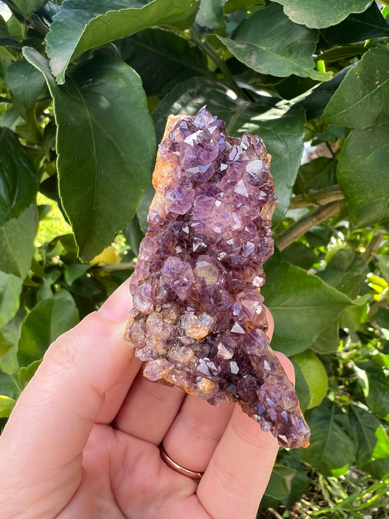 Iron-Rich South African Amethyst – Grounding Protection & Spiritual Calm