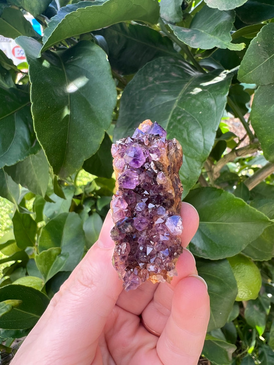Iron-Rich South African Amethyst 2 – Grounding Protection & Spiritual Calm