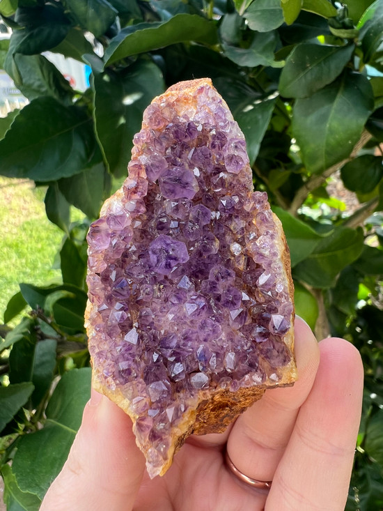 Iron-Rich South African Amethyst  – Grounding Protection & Spiritual Calm