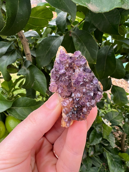 Iron-Rich South African Amethyst  – Grounding Protection & Spiritual Calm