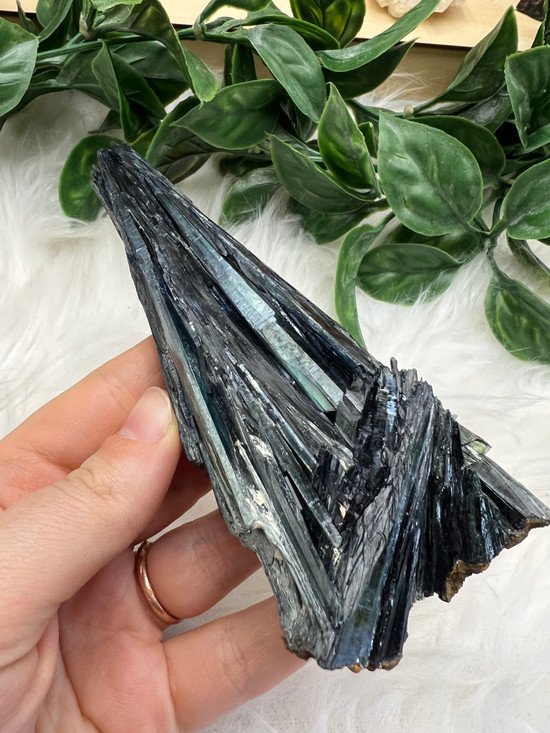 Rare natural Vivianite crystal specimen with dramatic bladed formation. Traditionally associated with deep healing, transformation, release, renewal and shadow work.
