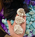 Desert Rose Selenite