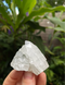 apophyllite cluster