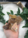 Wholesale lot of Citrine clusters with sparkling golden druzy points. Perfect for crystal shops, resale, gift boxes, abundance bowls, energy kits and uplifting displays.