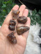 Rare Fire Agate Tumbled Stone with natural flash. A grounding crystal for protection, courage, vitality, base chakra energy and support during difficult times.