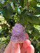 Spirit Quartz clusters, a sparkling crystal for harmony, spiritual growth and uplifted energy. Beautiful for meditation, display and sacred spaces.