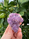 Iron-Rich South African Amethyst  – Grounding Protection & Spiritual Calm