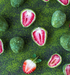 Organic Matcha White Chocolate Strawberries - Freeze Dried