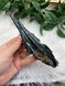 Vivianite Crystal Specimen 2 – Transformation, Shadow Work & Deep Healing
