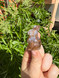 Moss Agate Bunny - 2