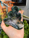 Moss Agate "flow" Carved Bowl no.1