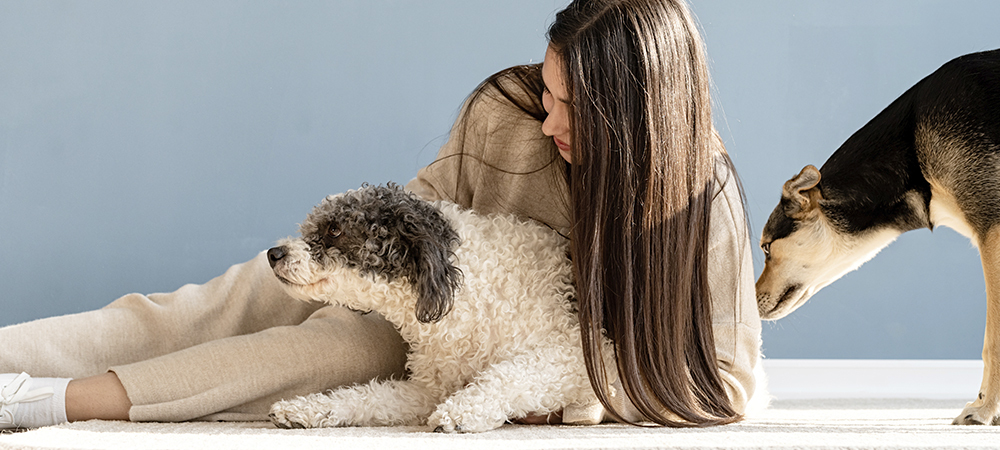 IMAGEN veterinaria 2