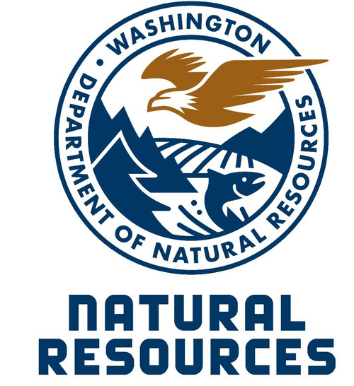 DECAL VEH LOGO DNR BLUE 15x15" CLR EACH