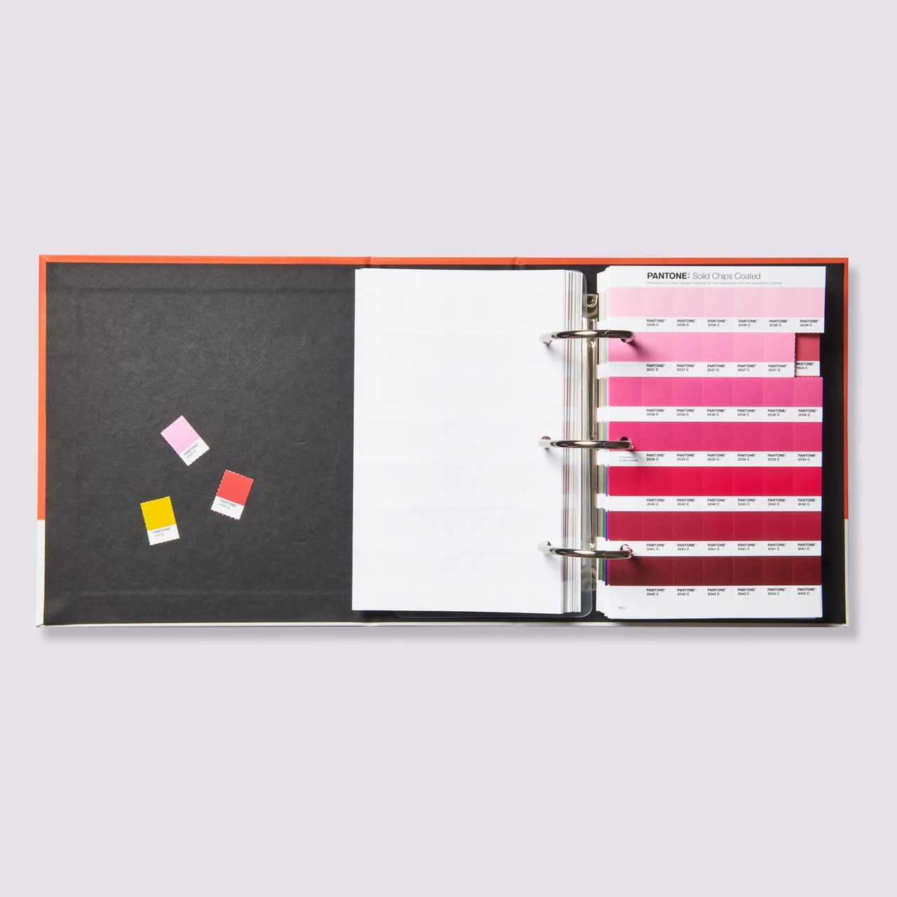 PANTONE® USA | Pantone Solid Chips | Coated & Uncoated