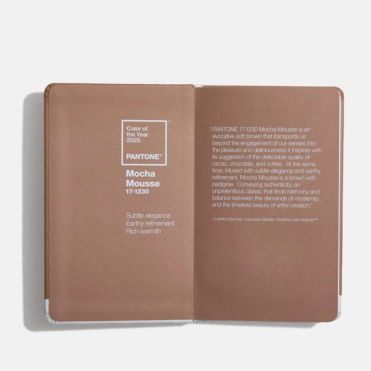 PANTONE®️見本帳 PANTONE® USA | Limited Edition Vegan Leather Notebook, Pantone