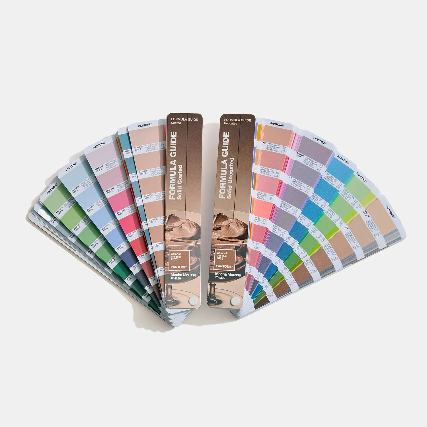 PANTONE® USA | Formula Guide, Limited Edition Pantone Color of the